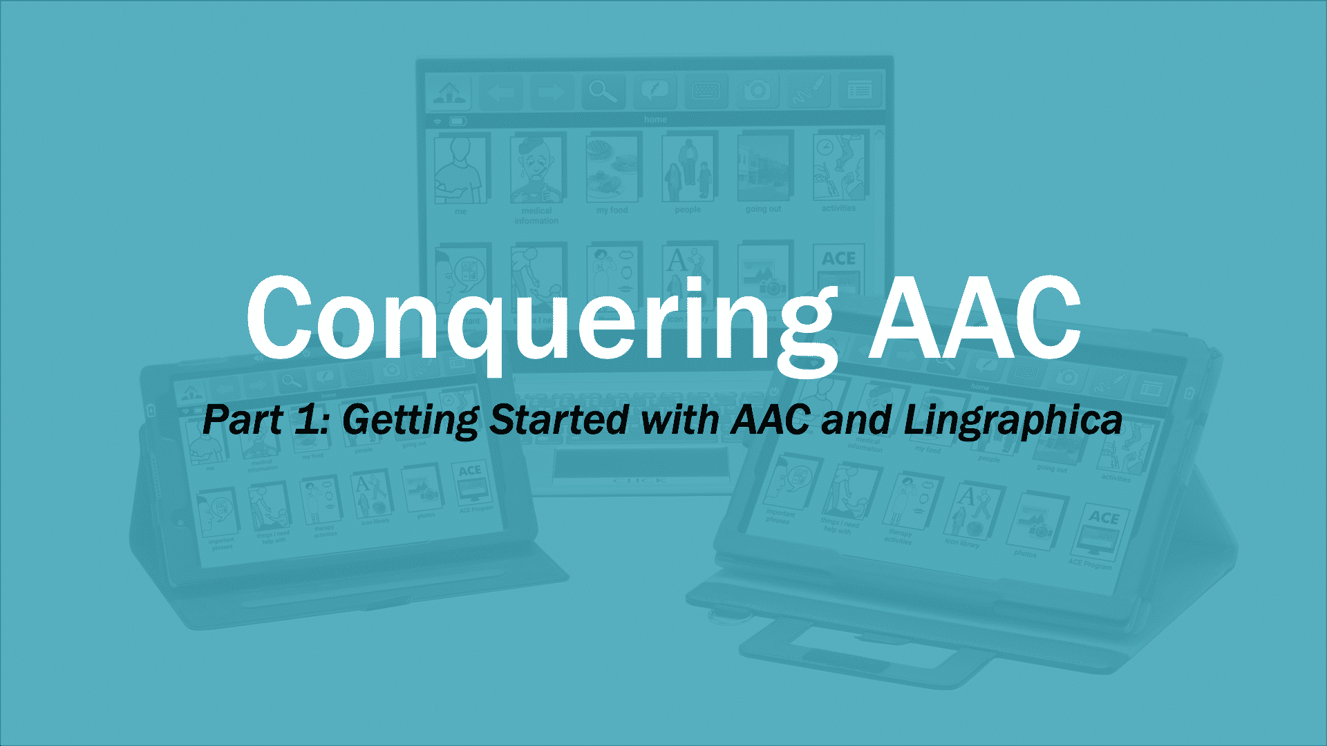 AAC Fundamental Courses Lingraphica